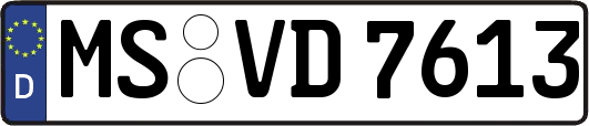MS-VD7613