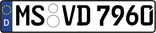 MS-VD7960