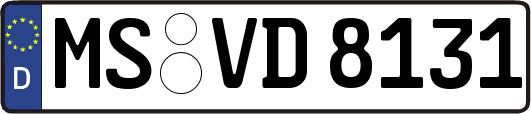 MS-VD8131