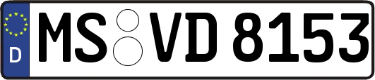 MS-VD8153