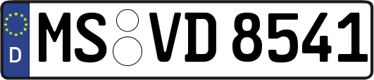 MS-VD8541
