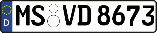MS-VD8673