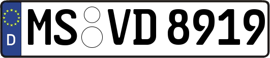 MS-VD8919