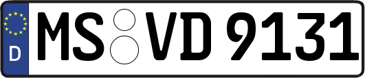 MS-VD9131