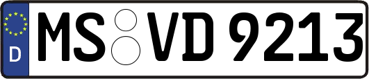 MS-VD9213