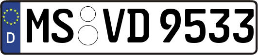 MS-VD9533