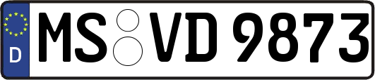MS-VD9873