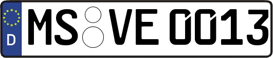 MS-VE0013