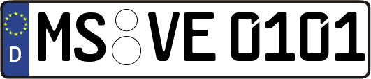 MS-VE0101