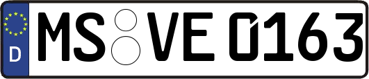 MS-VE0163