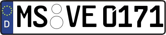 MS-VE0171