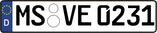MS-VE0231