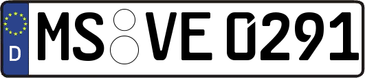 MS-VE0291
