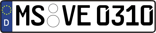 MS-VE0310