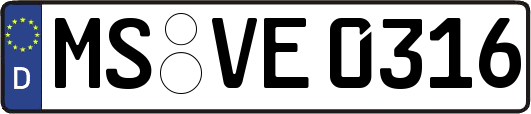 MS-VE0316