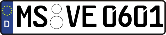 MS-VE0601