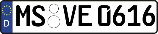 MS-VE0616