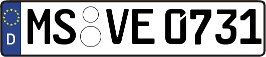 MS-VE0731