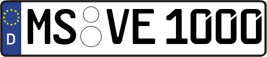 MS-VE1000