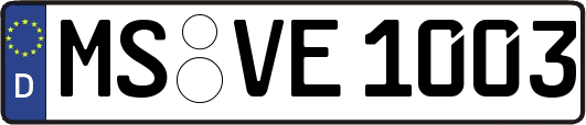 MS-VE1003
