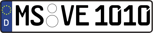 MS-VE1010