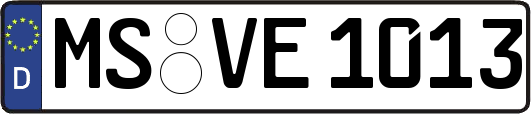 MS-VE1013