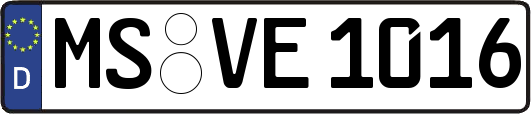 MS-VE1016