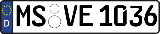 MS-VE1036