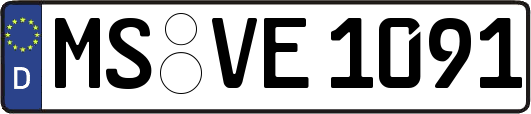 MS-VE1091