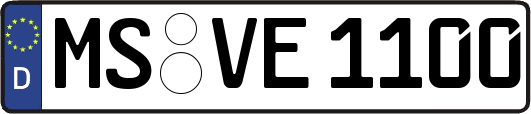 MS-VE1100