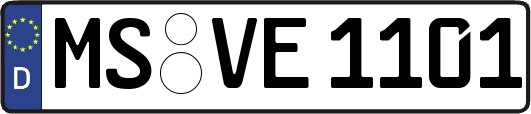 MS-VE1101