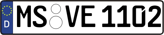 MS-VE1102