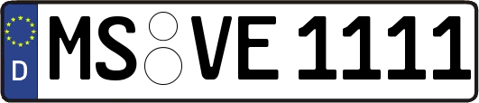 MS-VE1111