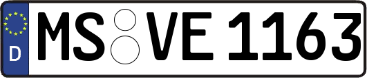 MS-VE1163