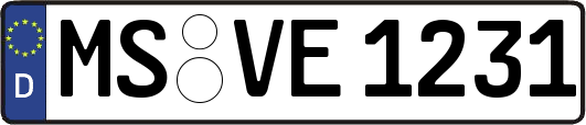 MS-VE1231