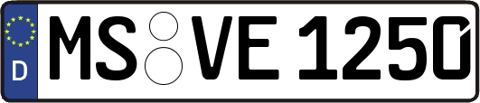 MS-VE1250