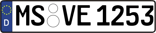 MS-VE1253