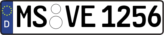MS-VE1256