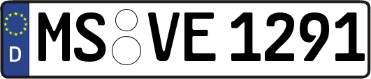 MS-VE1291