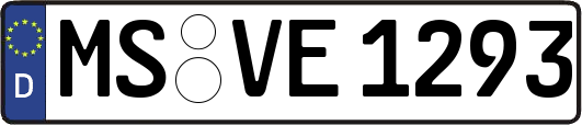 MS-VE1293