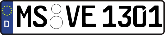 MS-VE1301