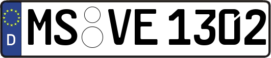 MS-VE1302