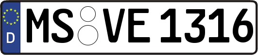 MS-VE1316