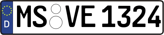 MS-VE1324