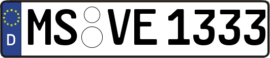 MS-VE1333