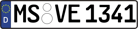 MS-VE1341