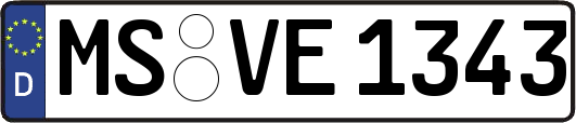 MS-VE1343