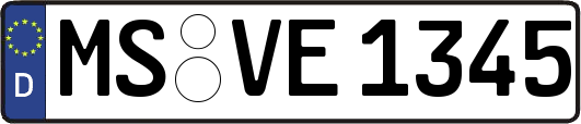 MS-VE1345