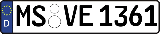 MS-VE1361