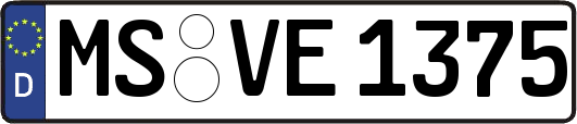 MS-VE1375